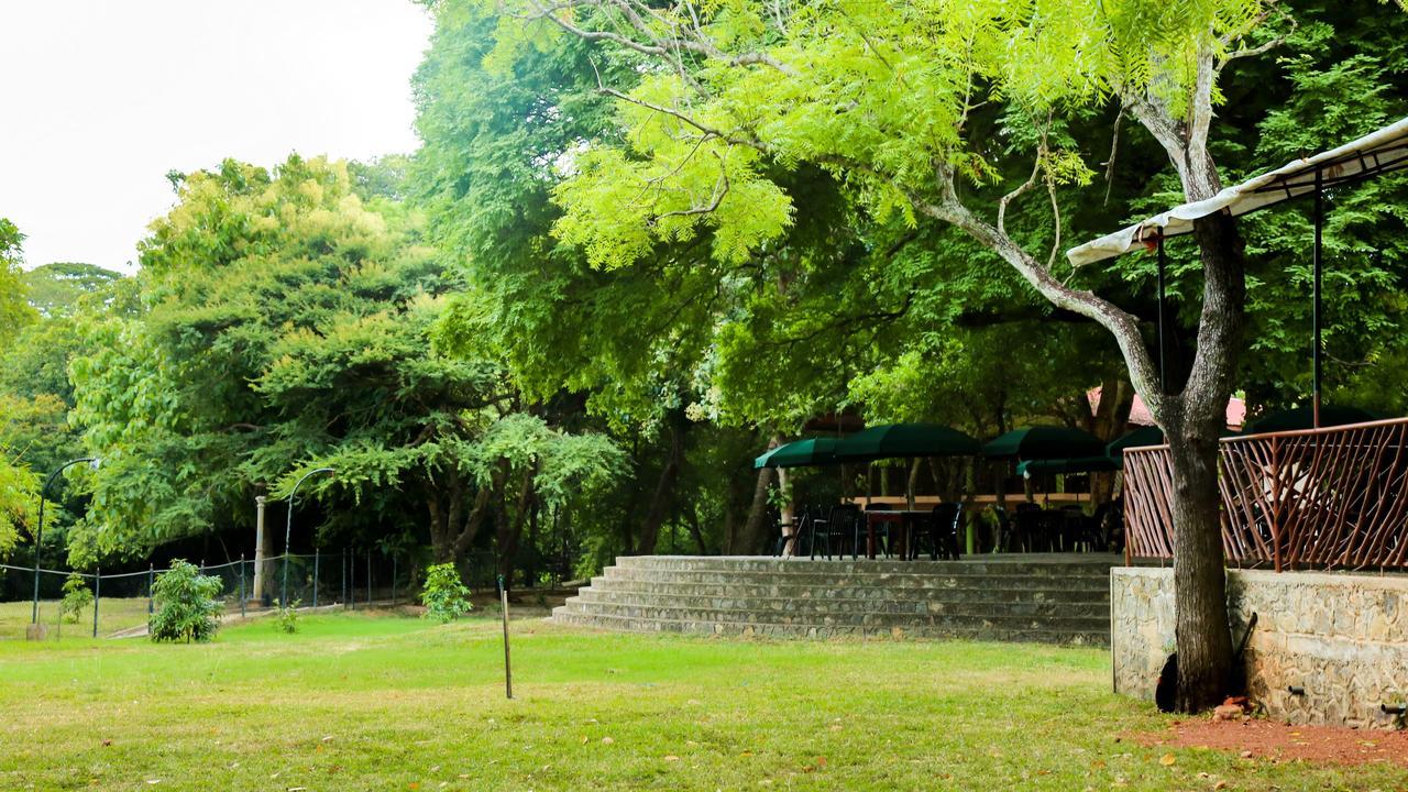 Malwathu Oya Caravan Park Bed & Breakfast Anuradhapura Ngoại thất bức ảnh